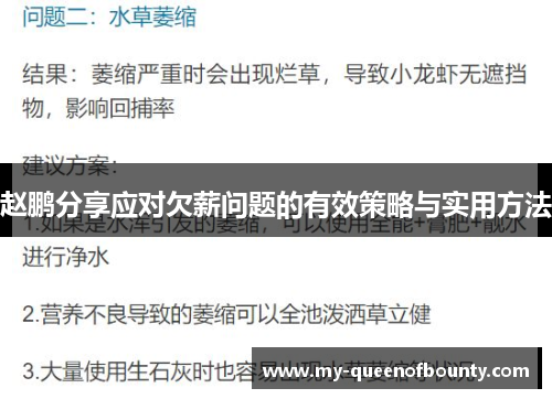 赵鹏分享应对欠薪问题的有效策略与实用方法
