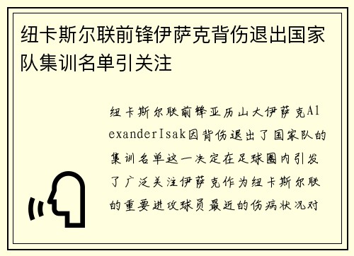 纽卡斯尔联前锋伊萨克背伤退出国家队集训名单引关注